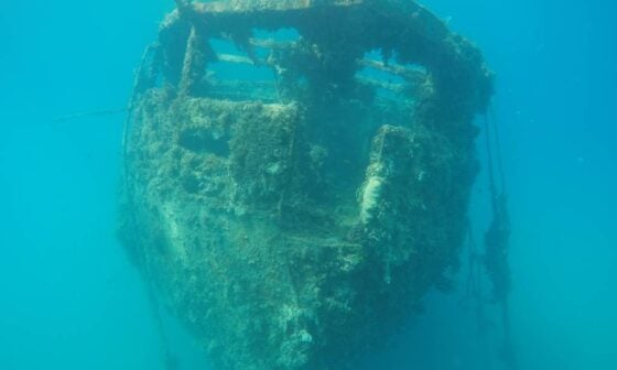 red sea scuba diving