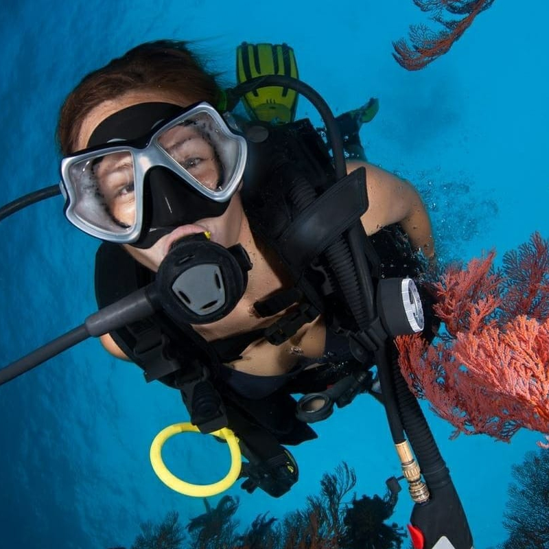 padi dive instructor course