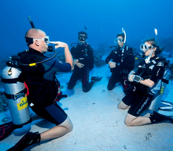 padi diving With Diving Around Certify And Upgrade Your Skills