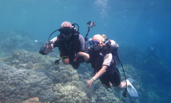 Scuba Diver course advanced open water diver