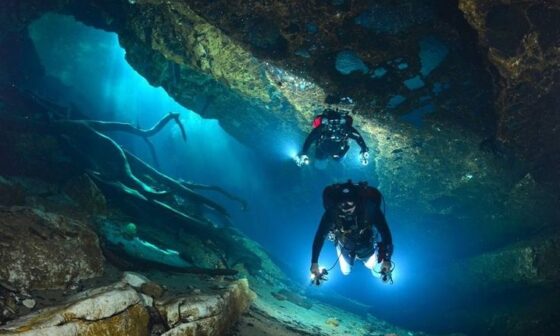 Night Diver Specialty Course