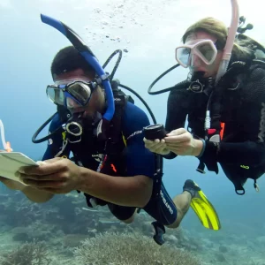 Underwater Navigation Specialty Course