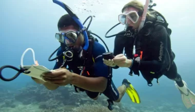 Underwater Navigation Specialty Course
