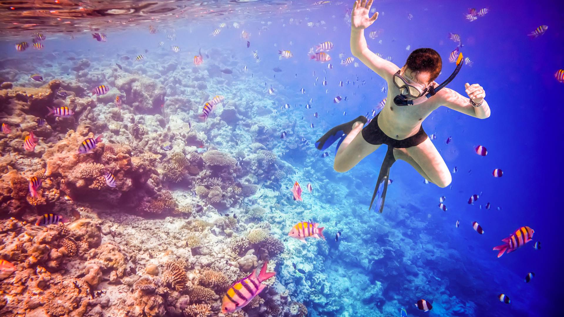 Unraveling the Distinctions Between Diving and Snorkeling