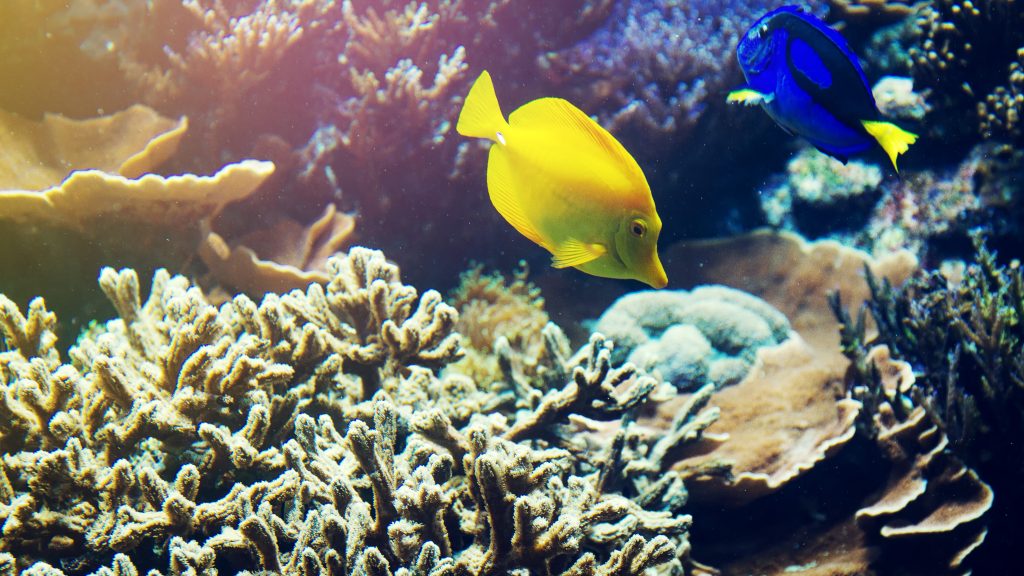 Adventures in Hurghada