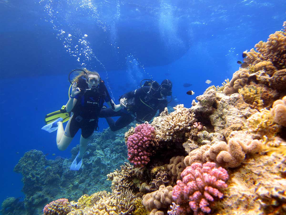Dive Sites In Hurghada SCUBA DIVING IN HURGHADA RED SEA EGYPT