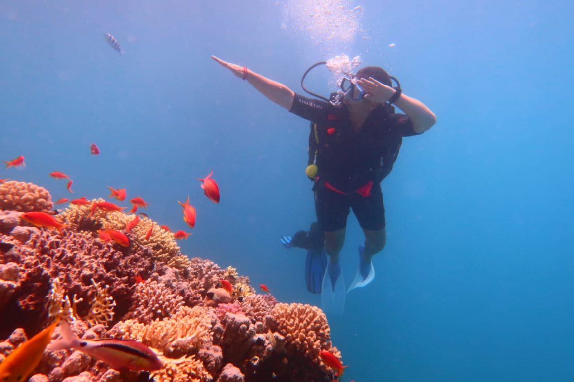 Hurghada Diving Prices A Comprehensive Guide