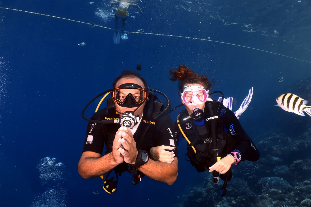 Dive Sites for Beginners in Hurghada