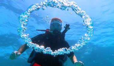 SCUBA DIVING and Snorkeling IN HURGHADA