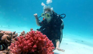 CMAS Dive Courses In Hurghada