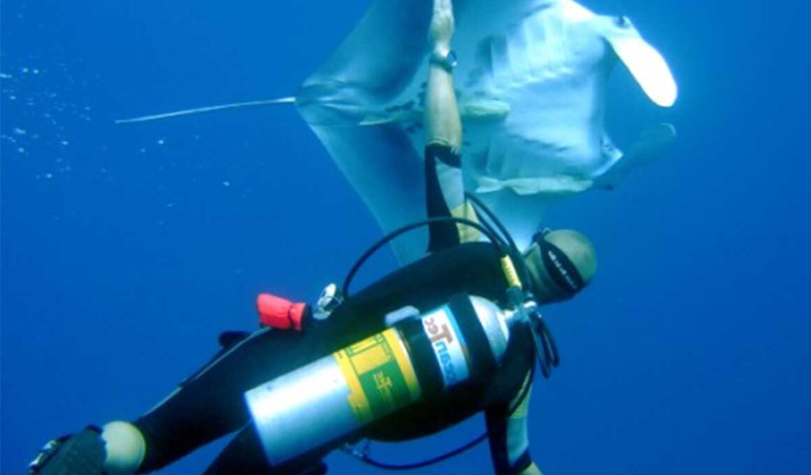 Deep Diving with Enriched Air Nitrox The Benefits and Limitations