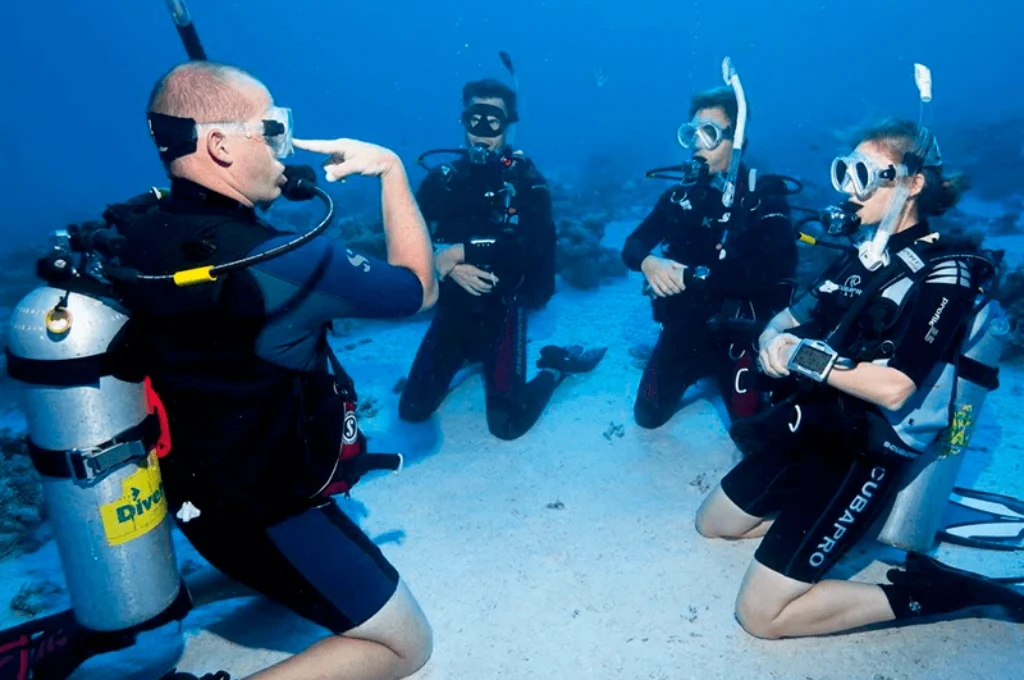 Dive Certification Hurghada diving
