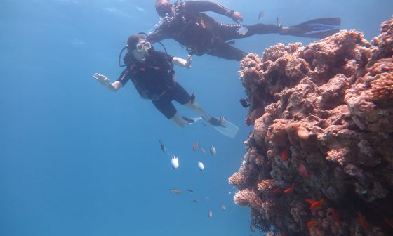 Diving Experience for Non-Divers
