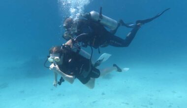 Diving For Non Divers In Hurghada