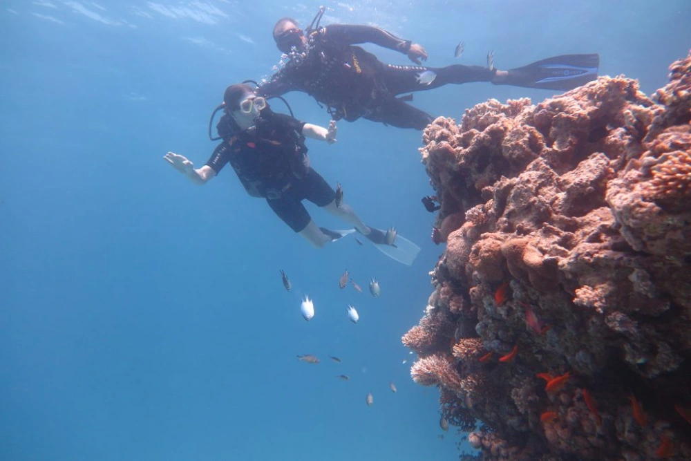 Diving For Non Divers In Hurghada On The Boat