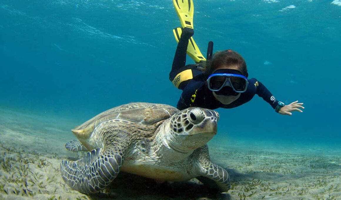 Diving In Sharm El naga Vs Diving In Hurghada