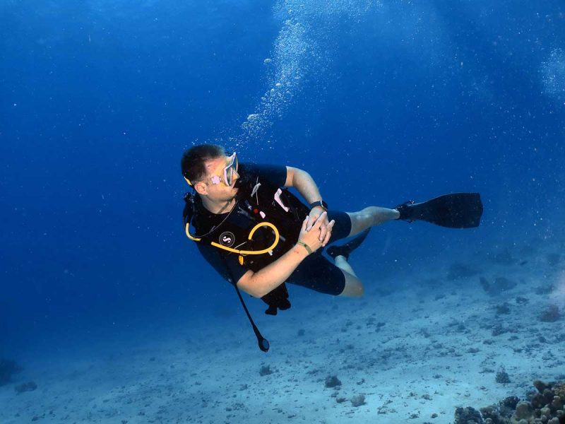 Diving Prices and dive Offers in Hurghada