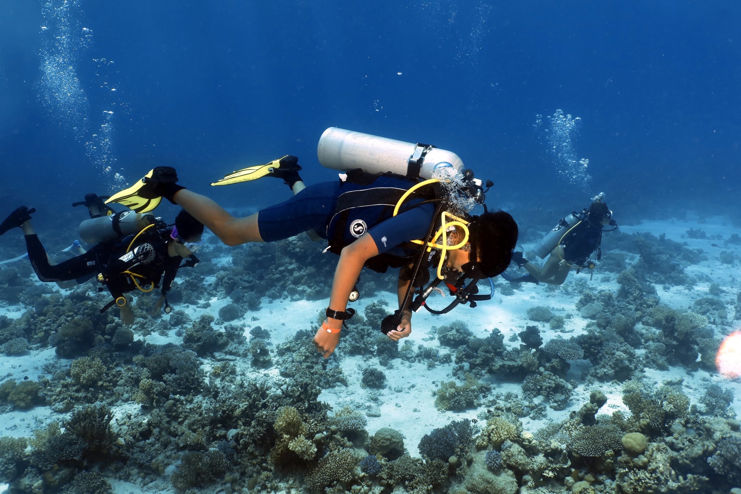 Daily Diving Packages