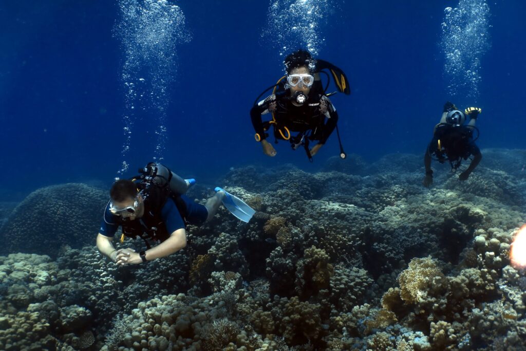 Diving Prices Hurghada