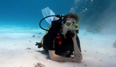 Hurghada Diving Tips & Budget