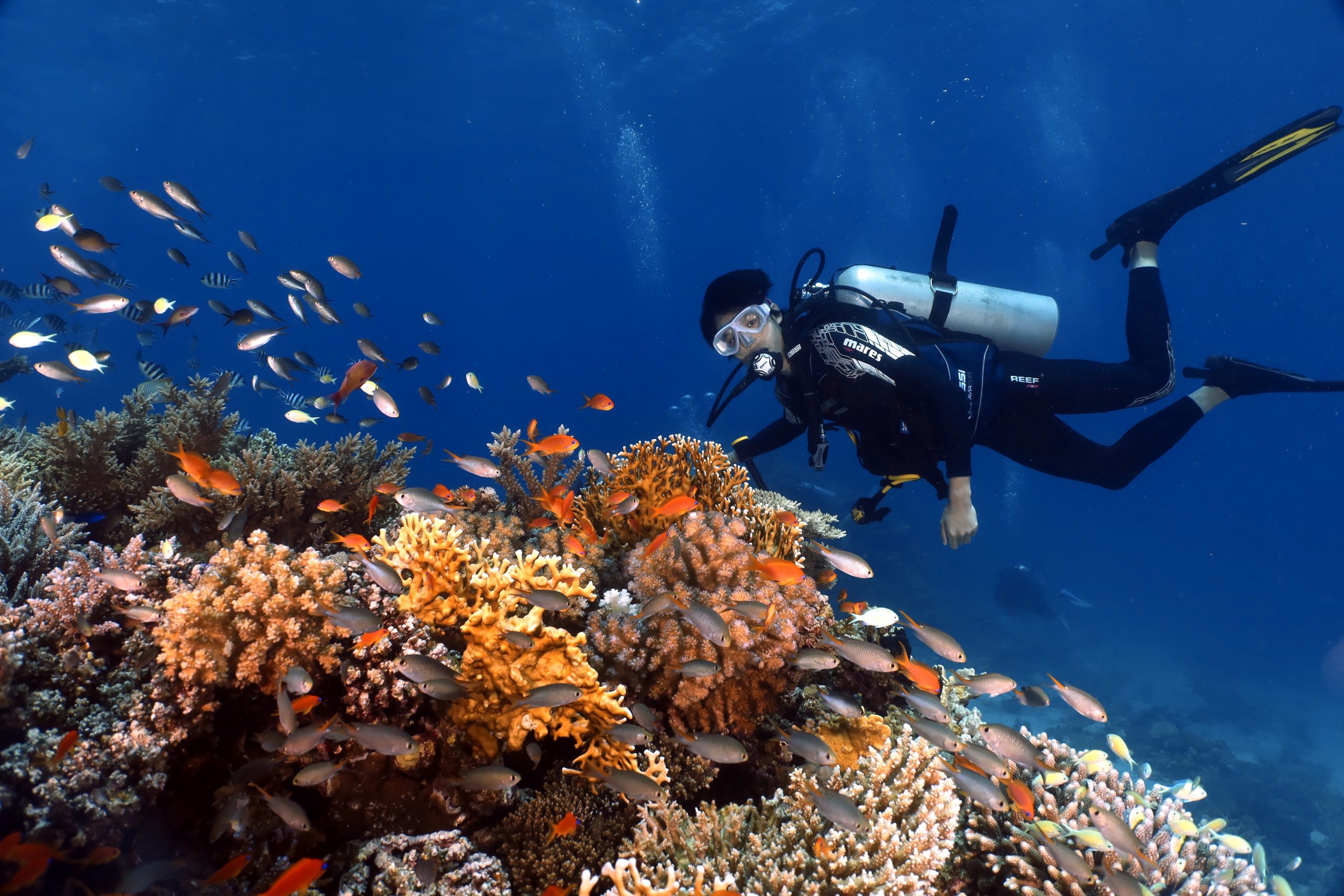 Diving Dive Sites in Hurghada