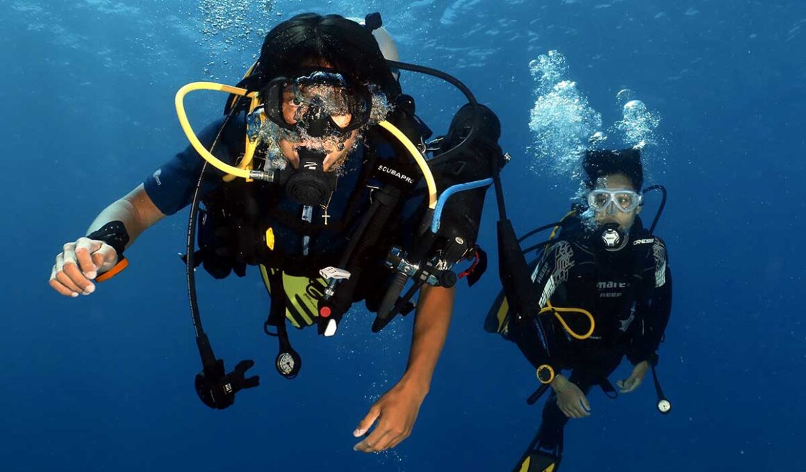 Master-Diving-Courses-in-Hurghada-How-to-Become-a-Pro-Diver
