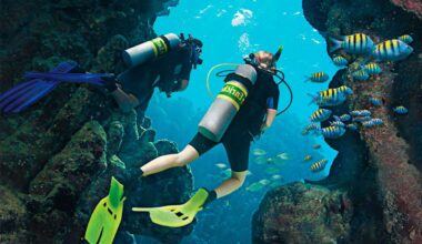 Hurghada SDI Enriched Air Nitrox Specialty Diving Course