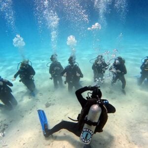 diving in Hurghada