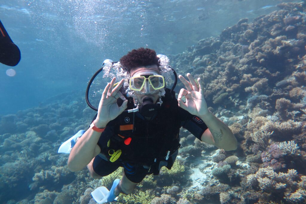 PADI vs SDI Diving Courses