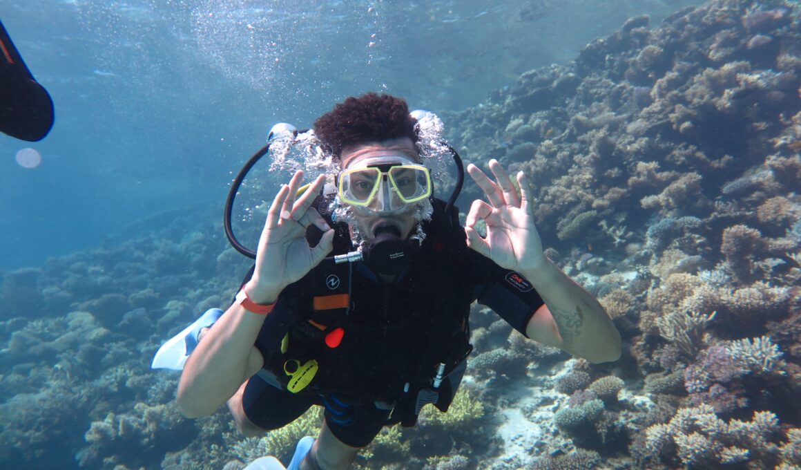 PADI vs SDI Diving Courses