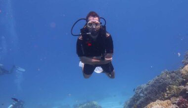 SDI Diving Courses in Hurghada