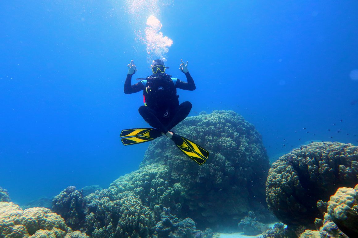 Diving Holidays In Egypt Diving in Hurghada