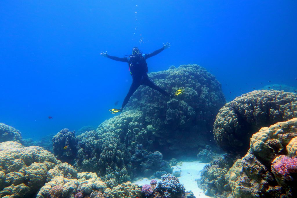 PADI Certification & Dive Training in Hurghada