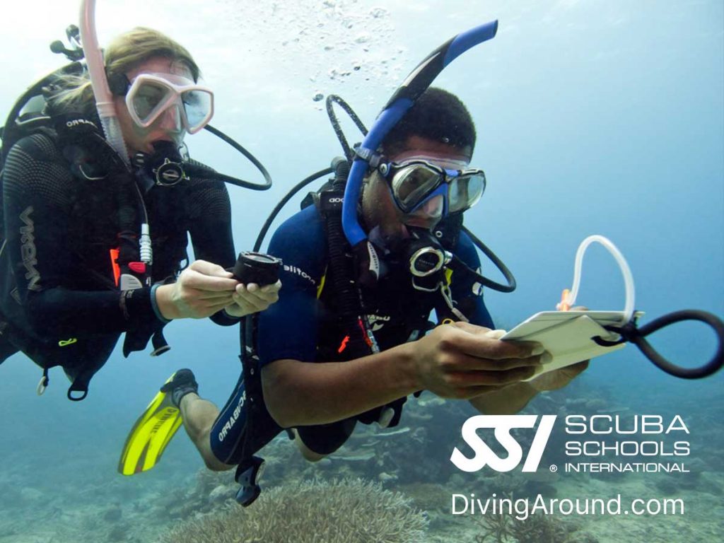 SSI Navigation Specialty Scuba Diving in Hurghada