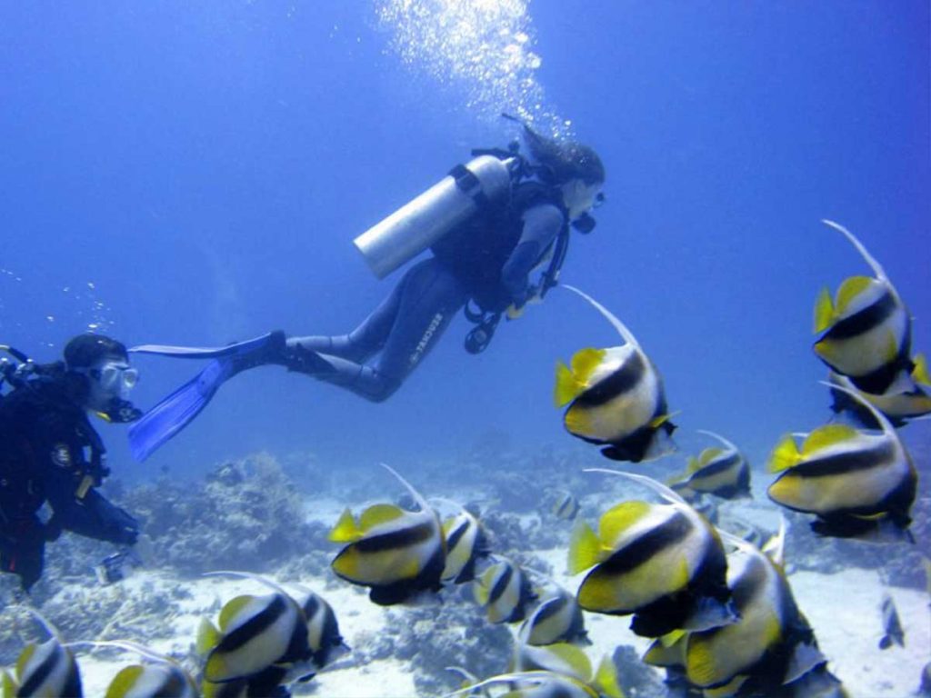 Scuba Diving Near El Gouna in the Red Sea