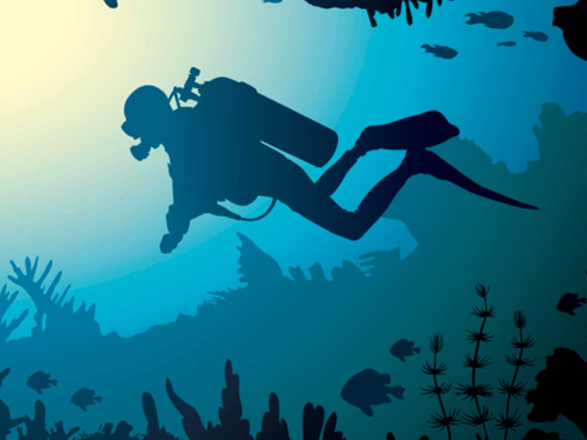 Diving Qualifications from Different Diving Organization