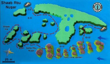 Abu Nugar diving site