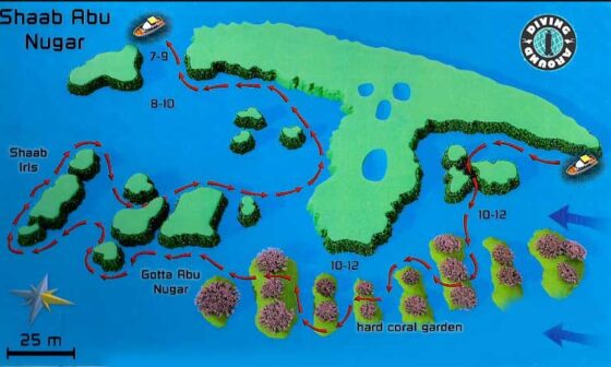 Abu Nugar diving site