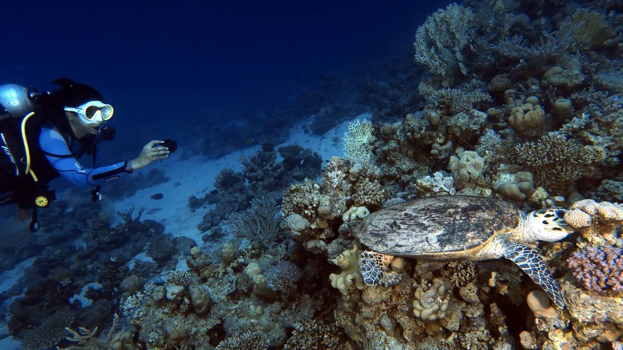 Diving Sites Hurghada