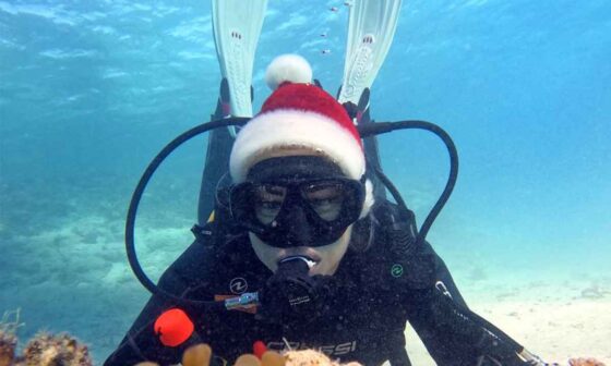 Hurghada underwater diving