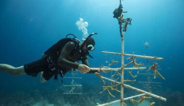 Naturalist Specialty courses in Hurghada