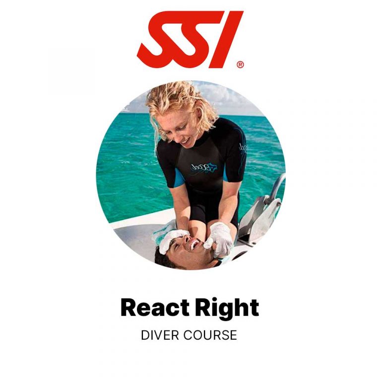 SSI React Right Course Diving in Hurghada
