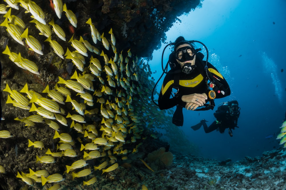 Diving from Hurghada with the Best Diving Center