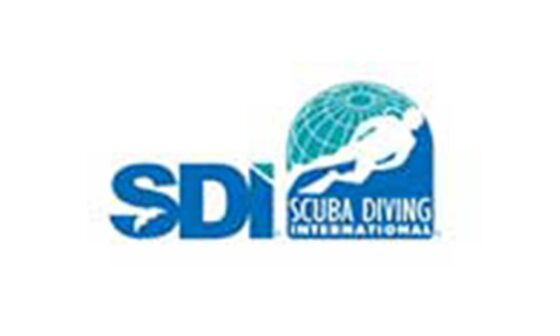Cost SDI Dive Courses