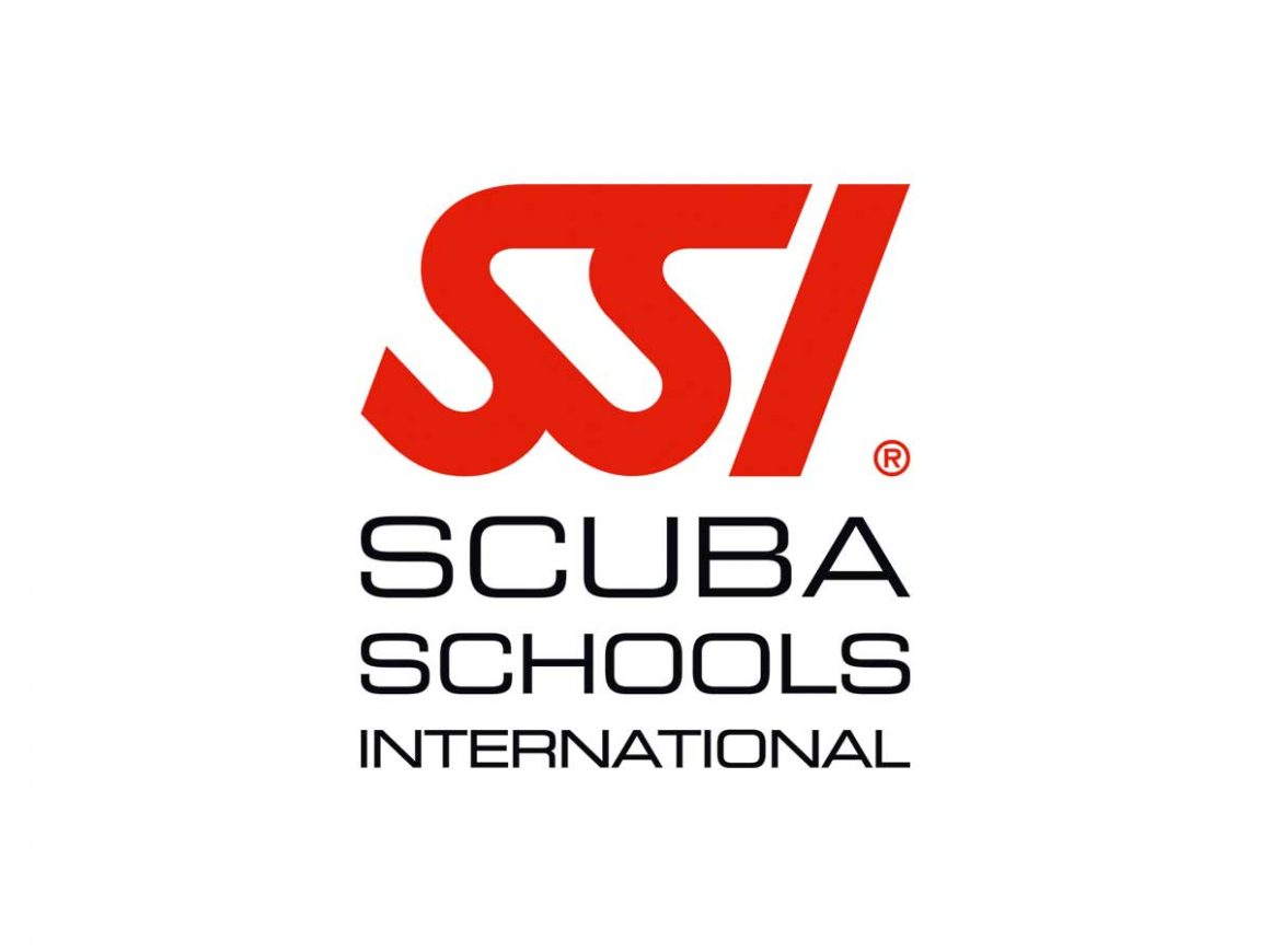 The Ultimate Guide to Identifying SSI Diver Licenses in Hurghada What