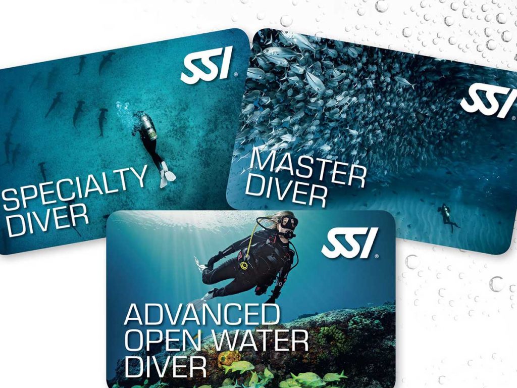 Identifying SSI Diver Licenses in Hurghada