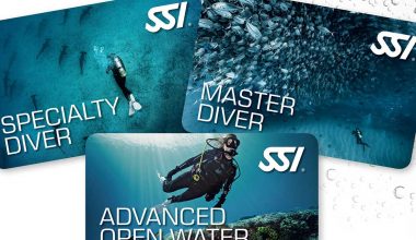 Identifier les licences SSI Diver à Hurghada