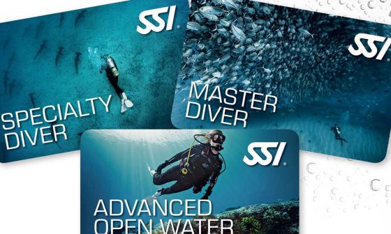Identifying SSI Diver Licenses in Hurghada