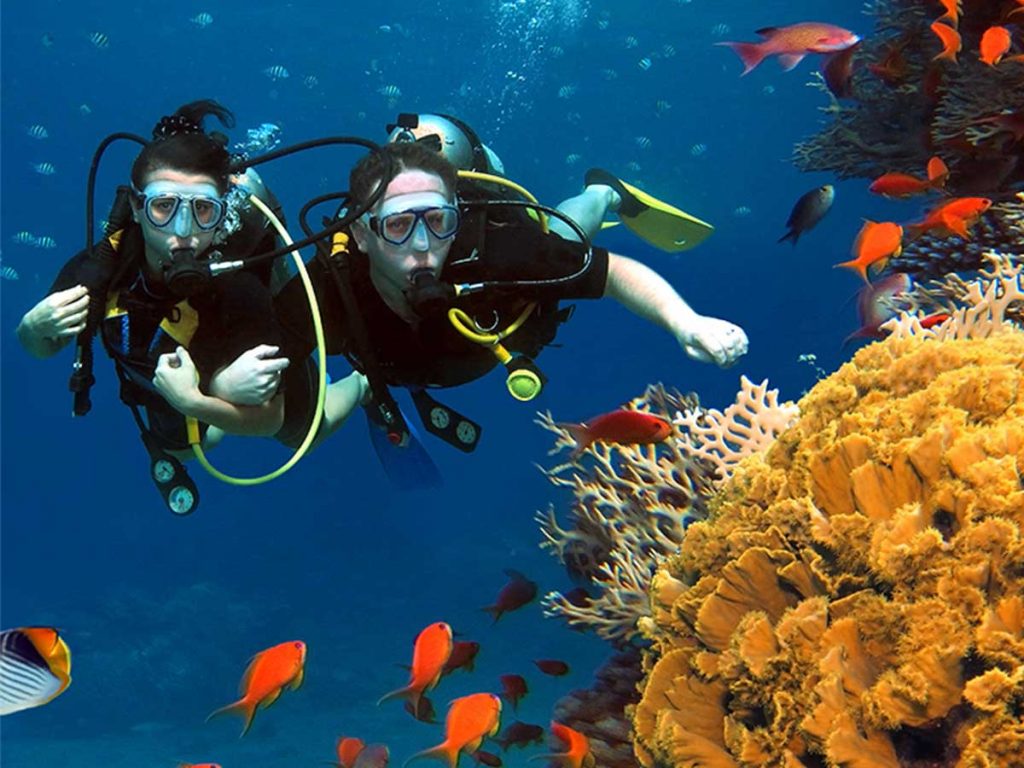 Red Sea Scuba Diving on a Budget