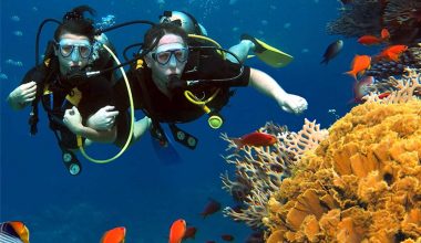 Red Sea Scuba Diving on a Budget